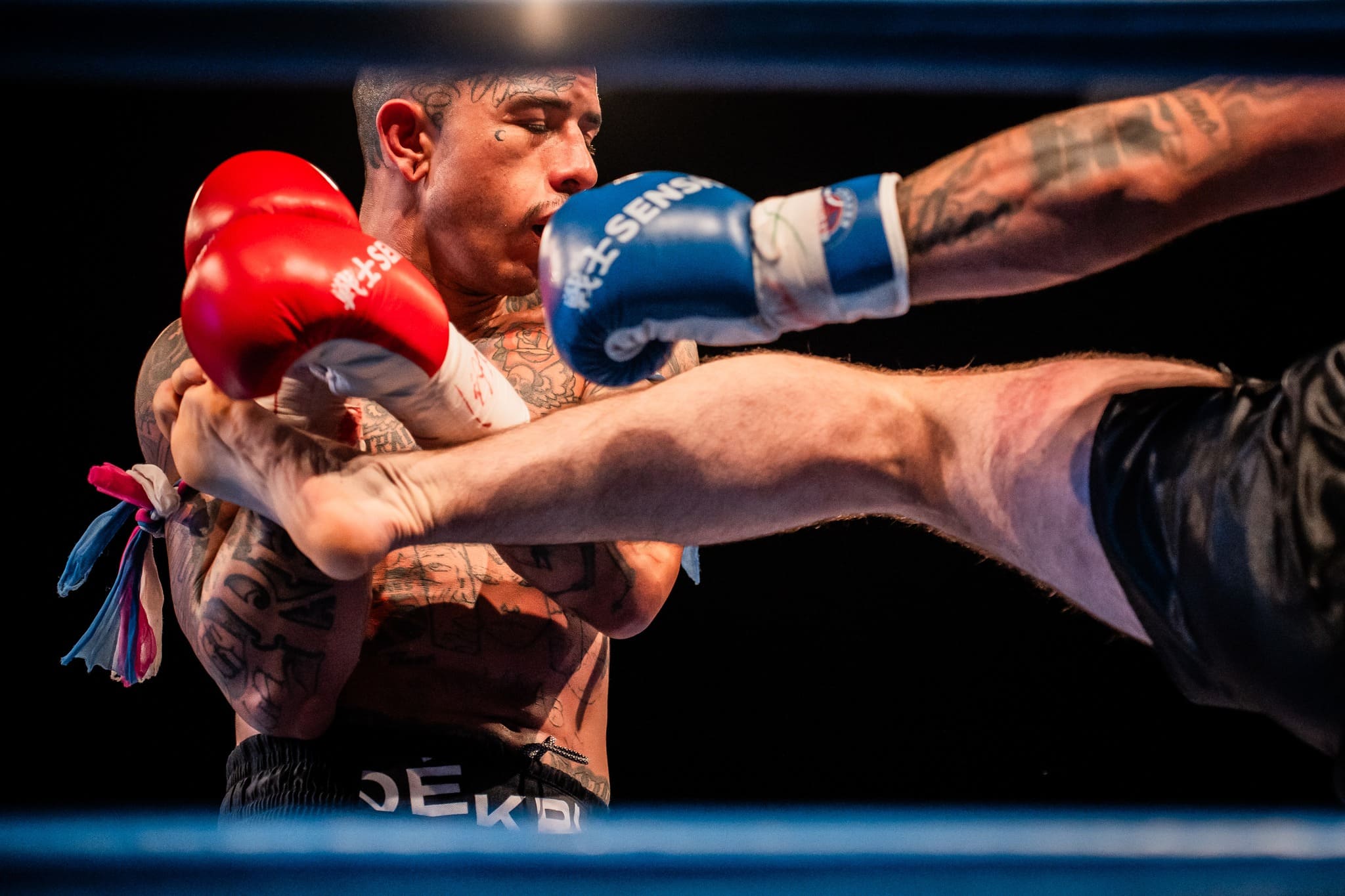 The 25th edition of SENSHI Gala kicks off with world-class combat sports action