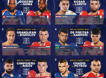 SENSHI 29 Fight Card